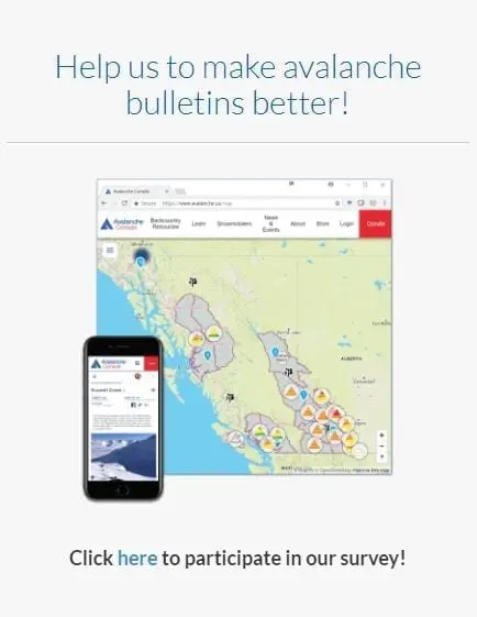 Avalanche Canada Survey