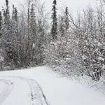 Alaska Snow