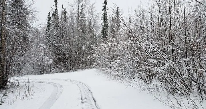 Alaska Snow