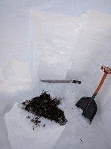 20161123: At least the snow is well bonded to the ground.